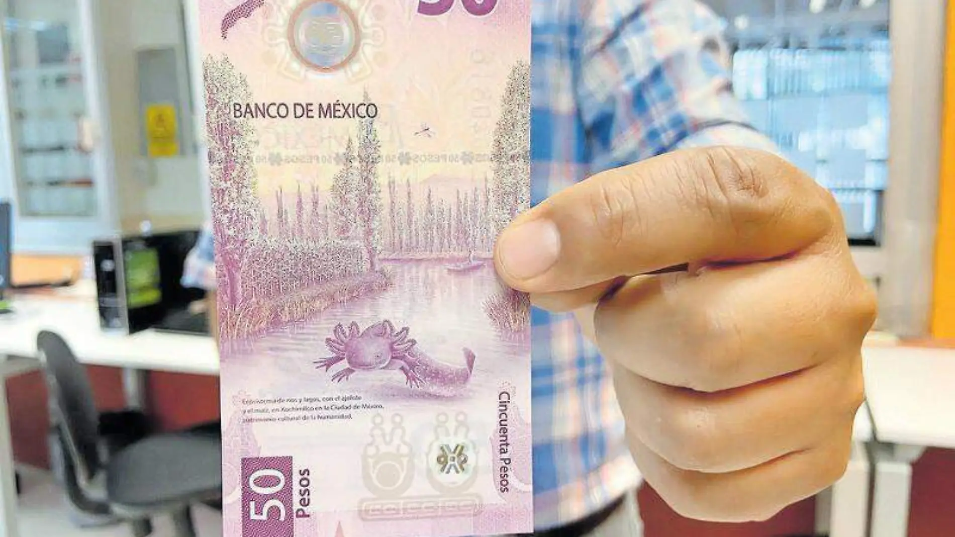 billete ajolote